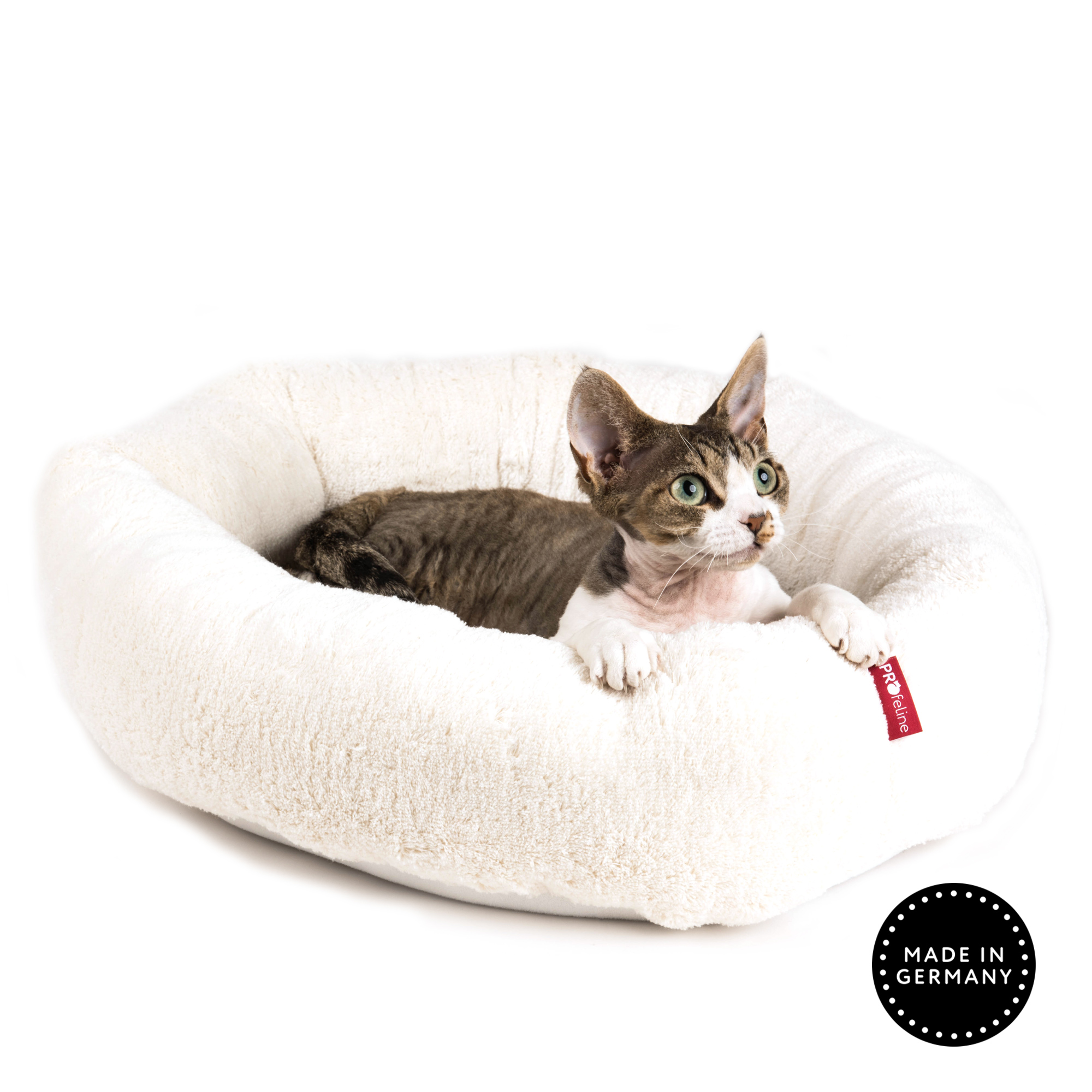 Katzenbett Hollow Klettboden Katzenbett Kratzbaum hoher Rand