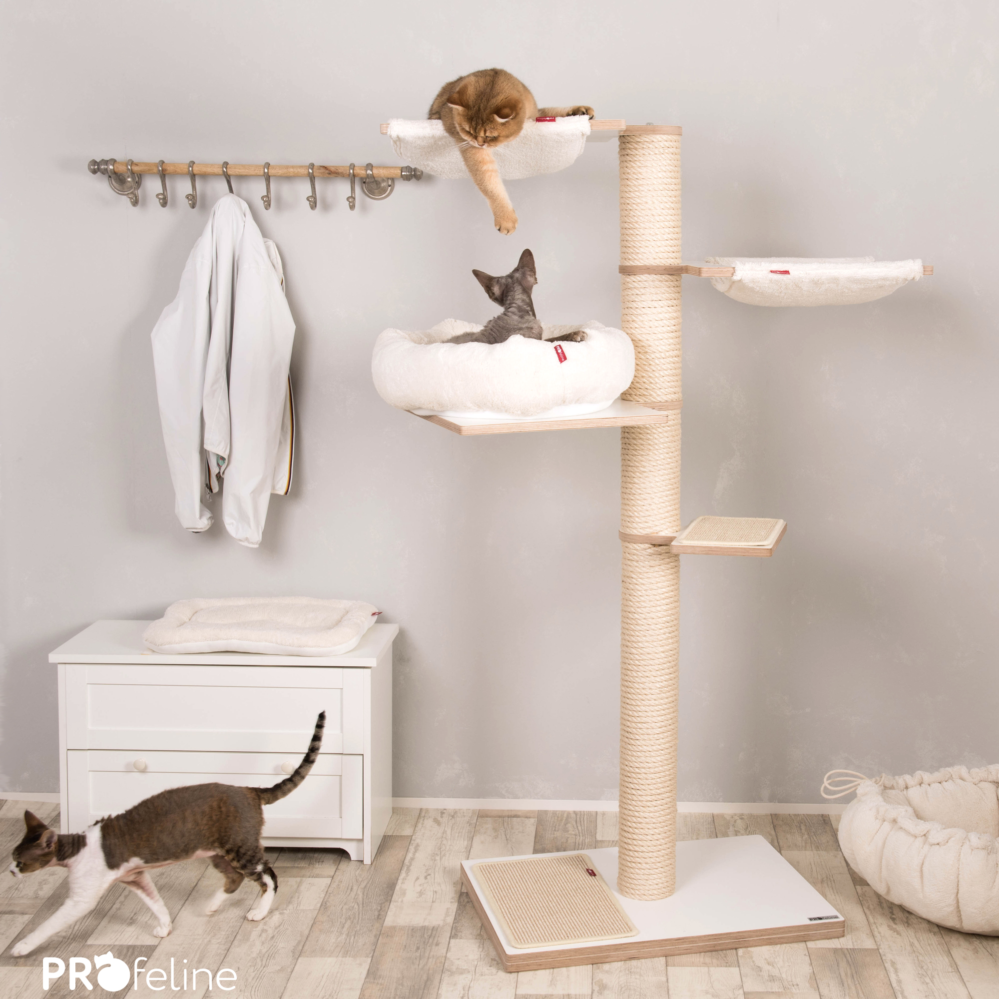 PURE Kratzbaum Dormo Kratzbaum modern Katzenzimmer
