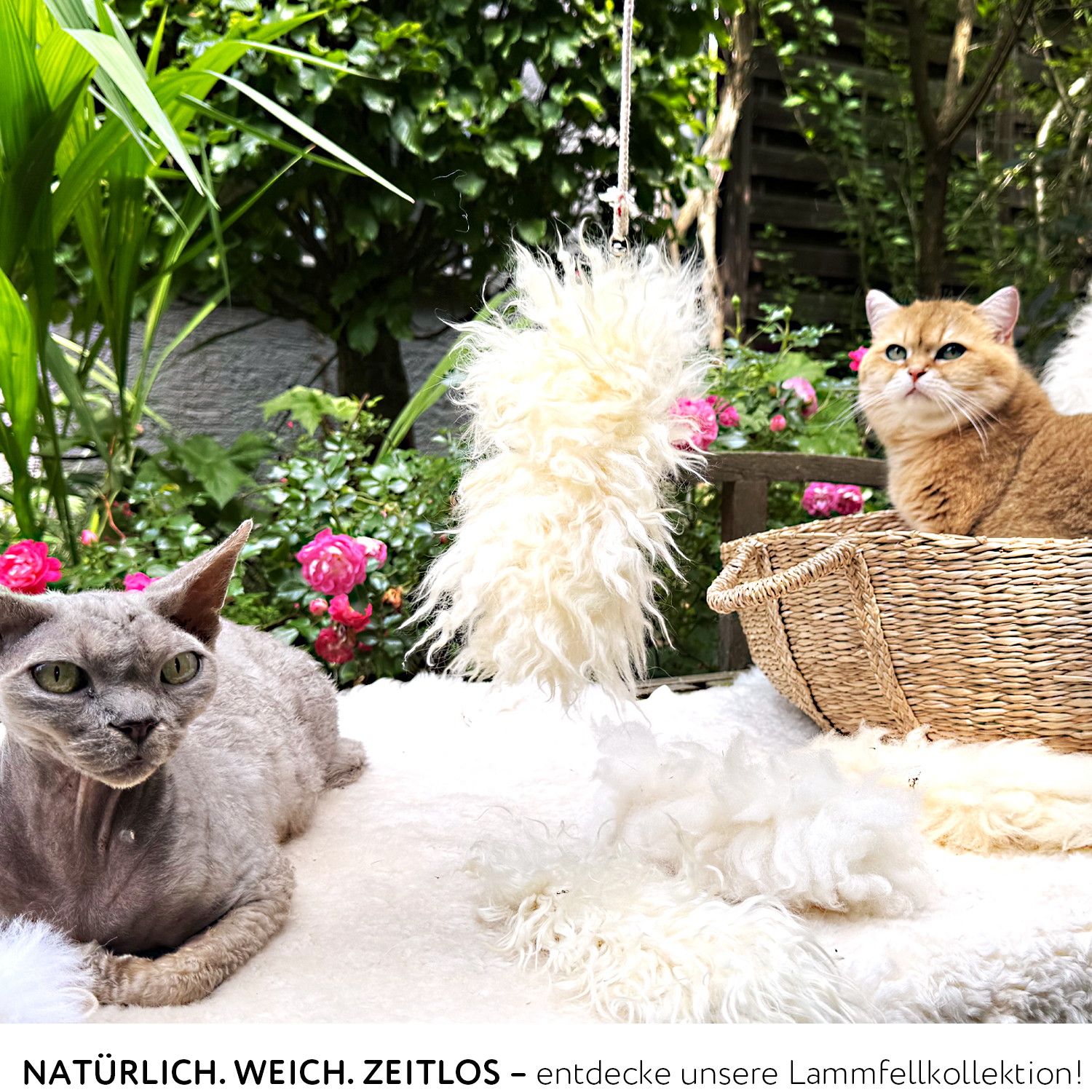 Echte Lammfelle für Katzen