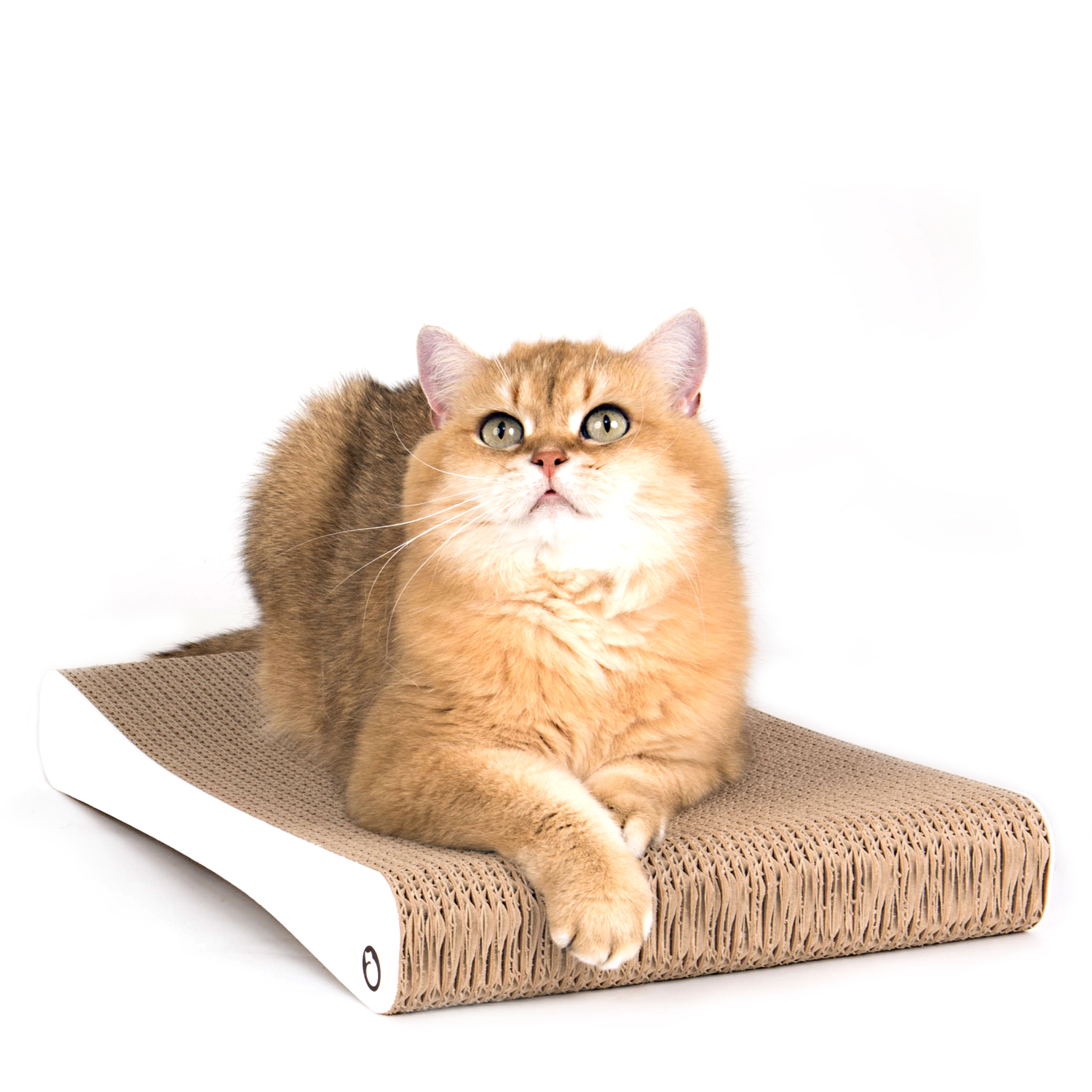 Kratzpappe Katida Weiss Kratzbrett für Katzen 44 cm weiss