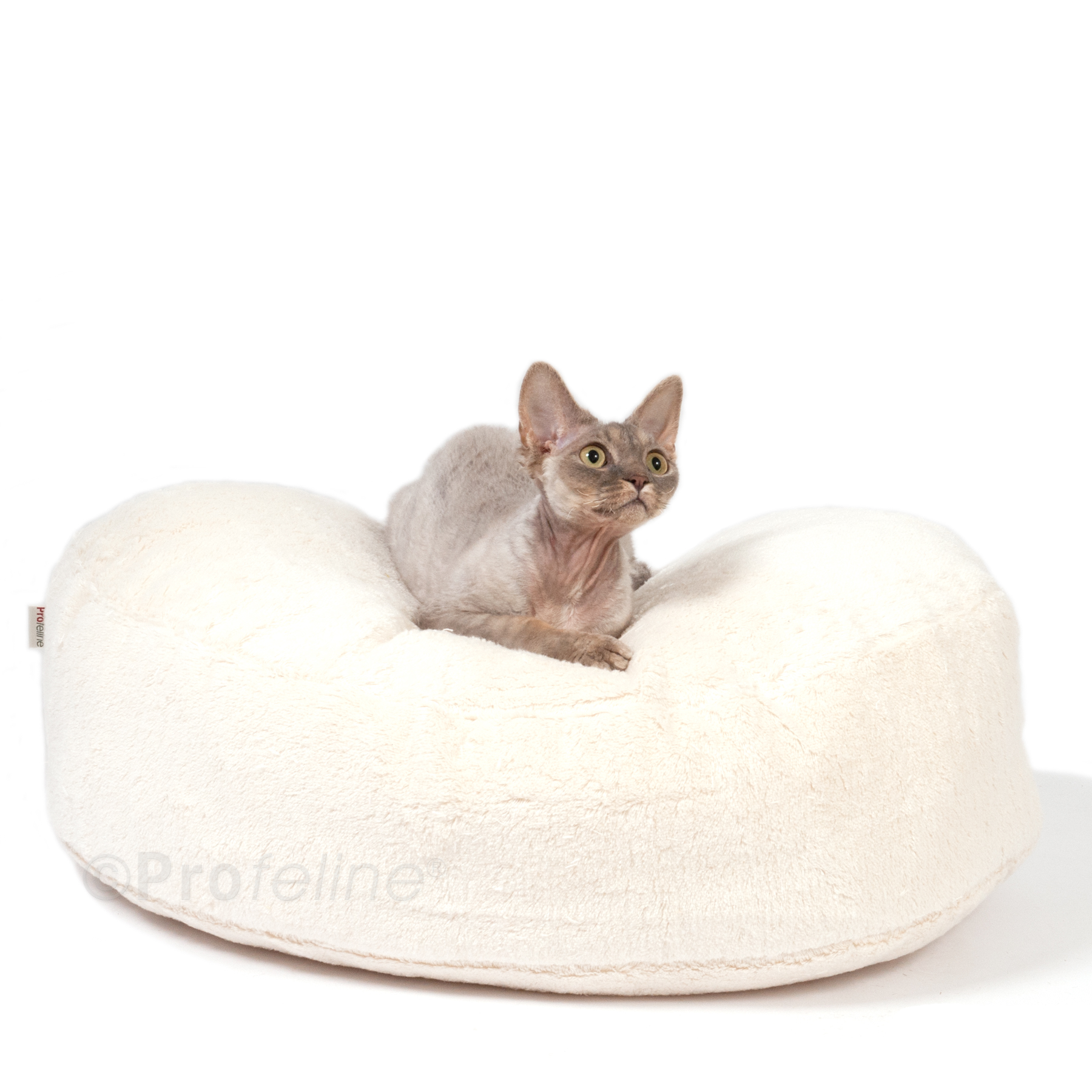 Katzenbett hell