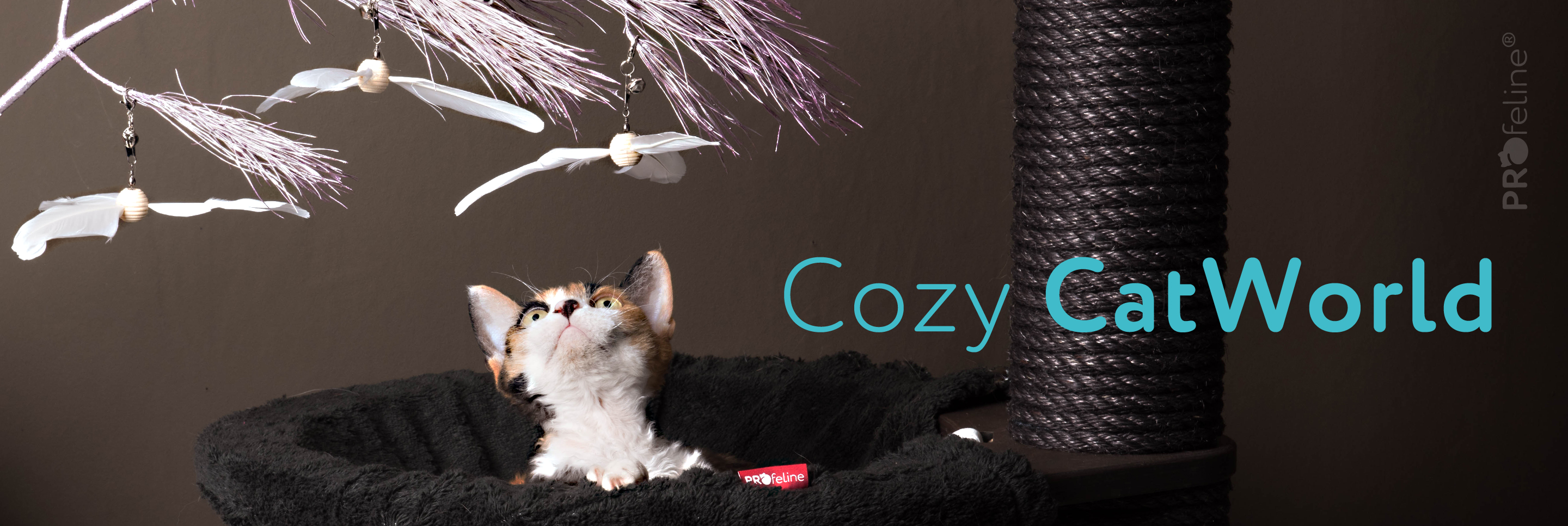 Katzen Geschenke kaufen