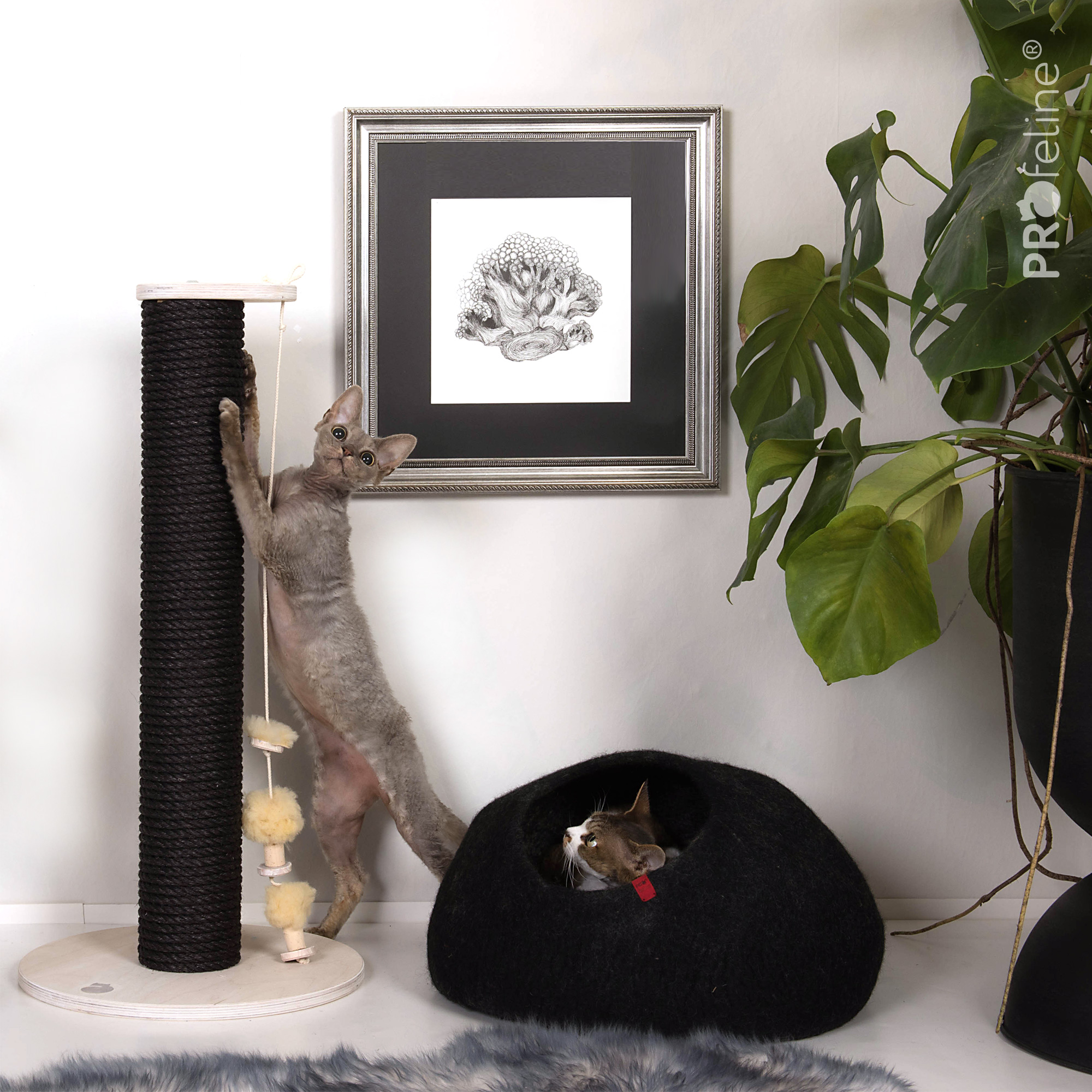 Katzen Filzhöhle Woolly Cave Schwarz Kratzstamm Ina schwarz mit handgefilzter Höhle
