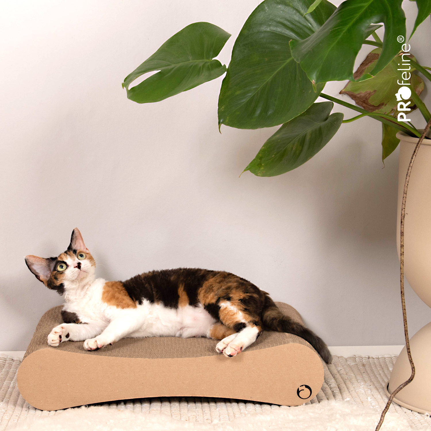 Kratzbrett Letto Kratzbrett letto 100% Nachhaltig