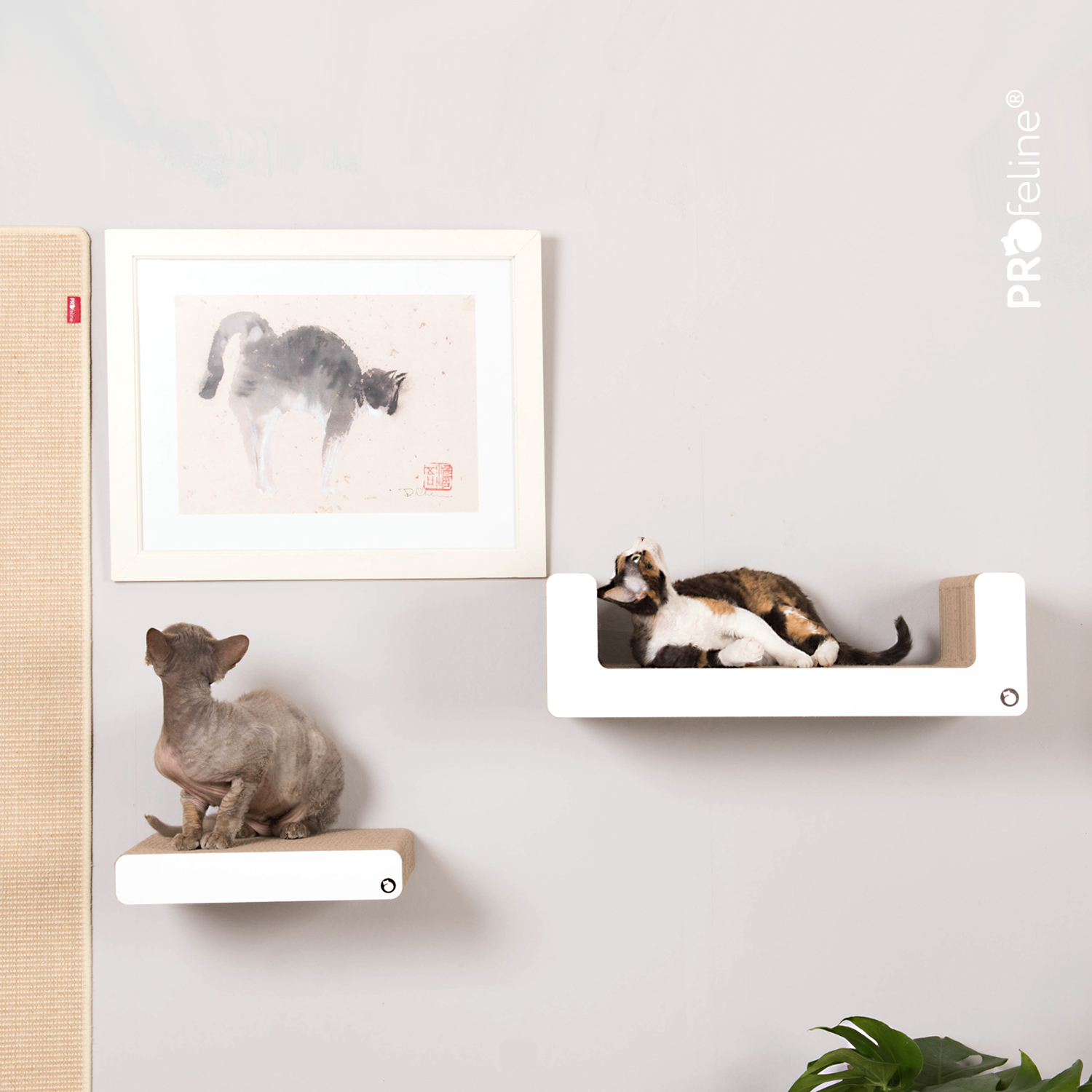 Katzen Kletterwand Gestalten mit Pappmöbel