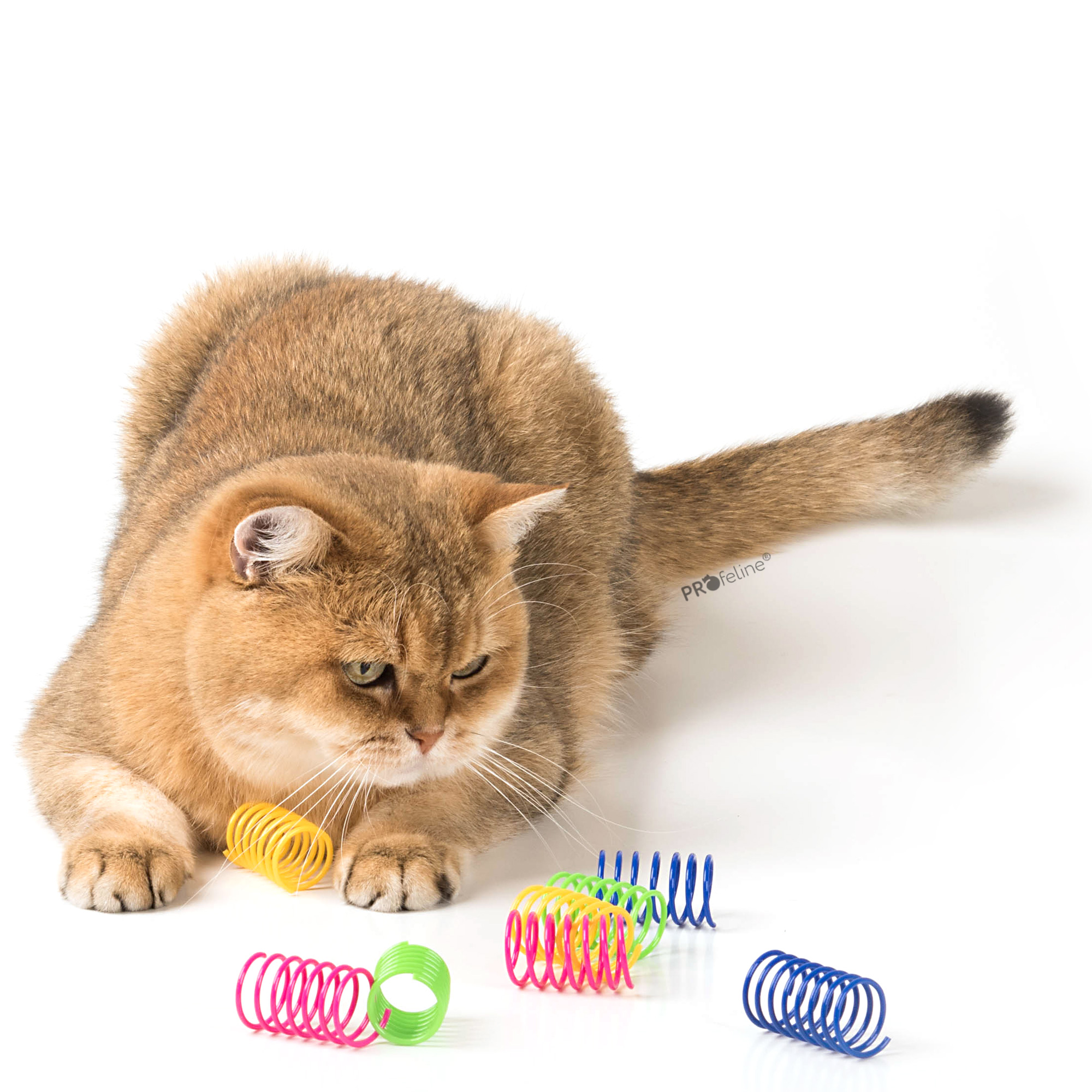 Profeline - Fun Spring Cat Toy Katzenspielzeug rollen spiralen