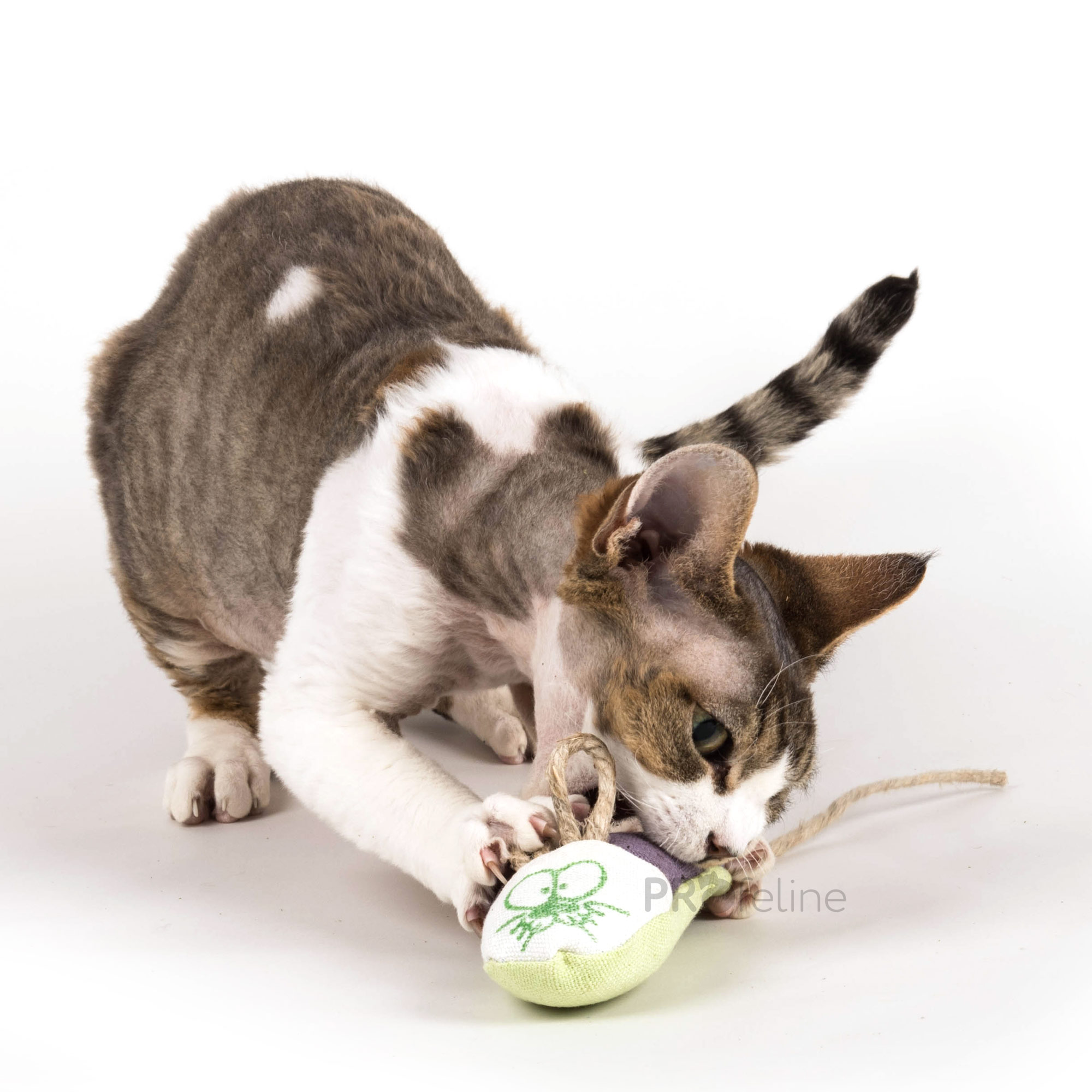 From The Field - Shelby Refillable Hemp Mouse Katzenspielzeug Maus USA nachfüllbar