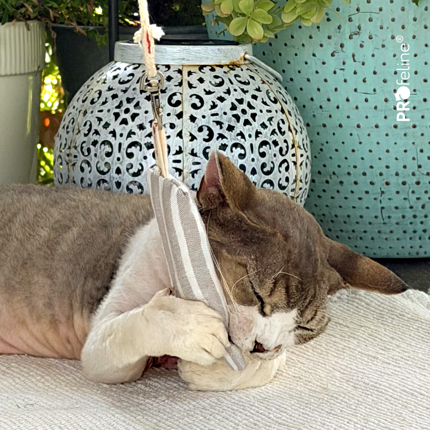 Organic Snuffle Pouch - Befüllbares Katzenspielzeug