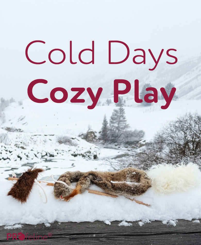 Katzenspielzeug Shop Toys for Cats