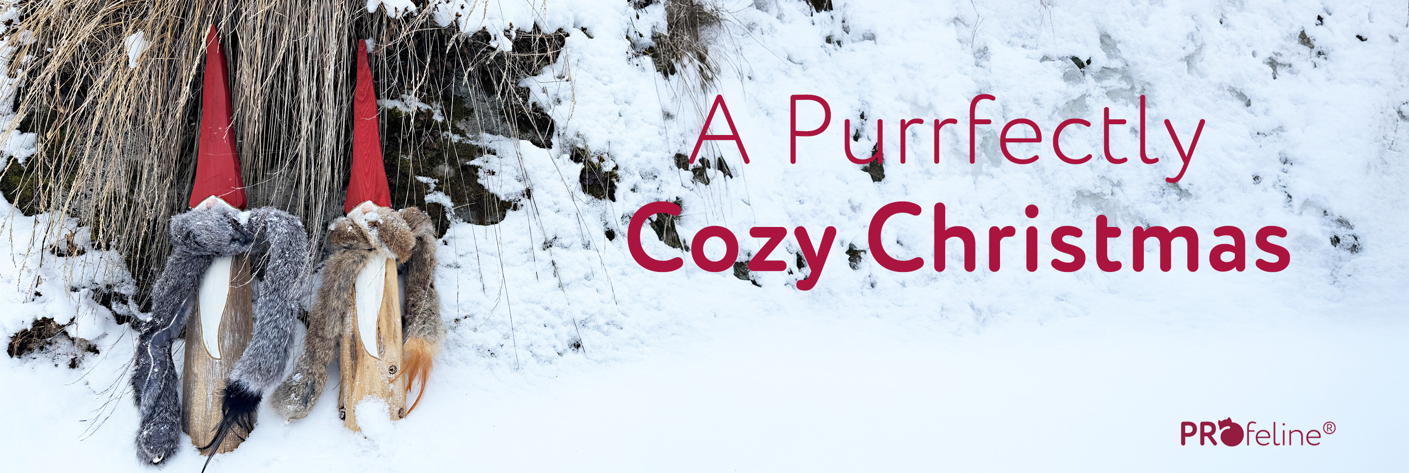 Katzen Shop für Katzengeschenke