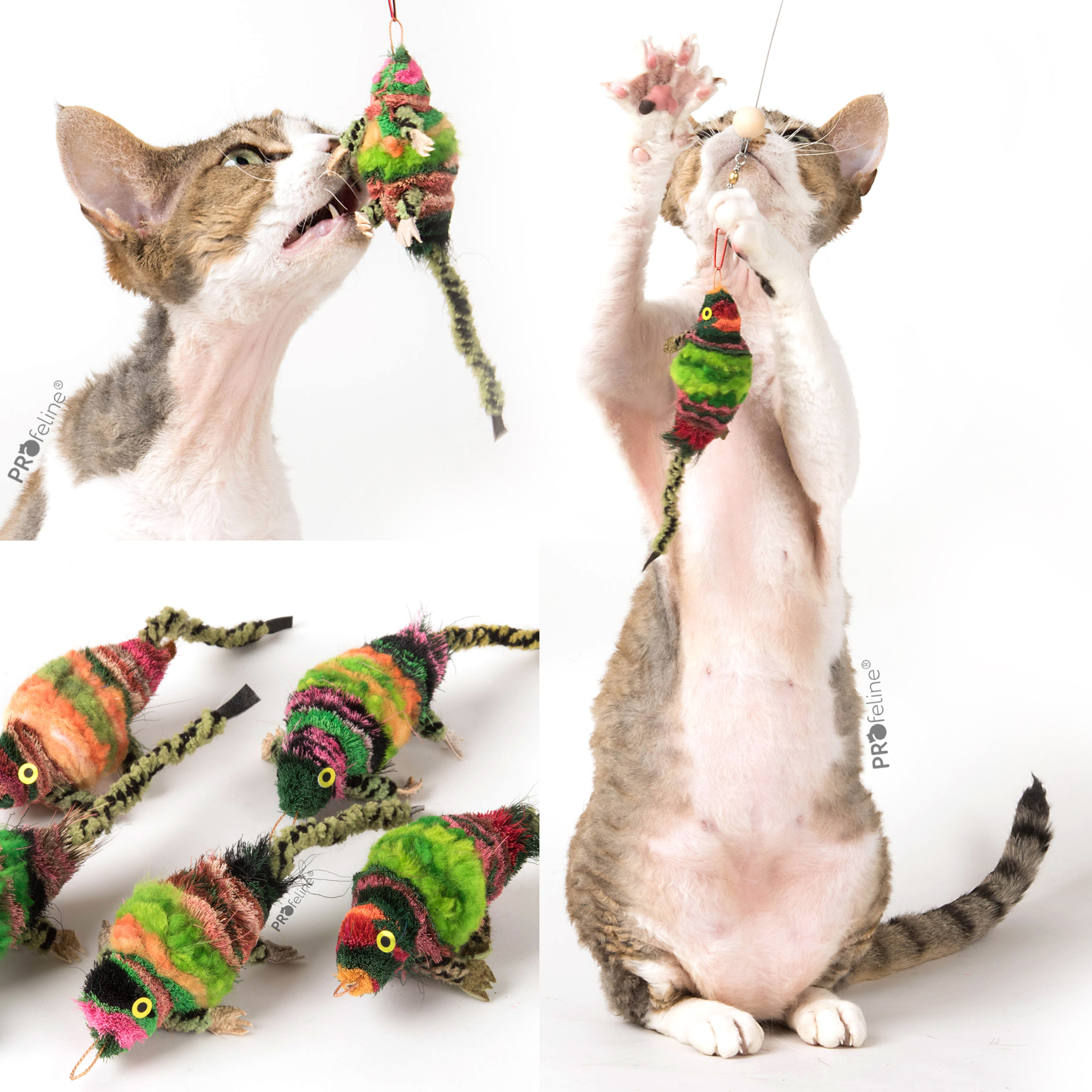 cat-toy-chameleon-SP186CH Profeline - Chameleon Anhänger