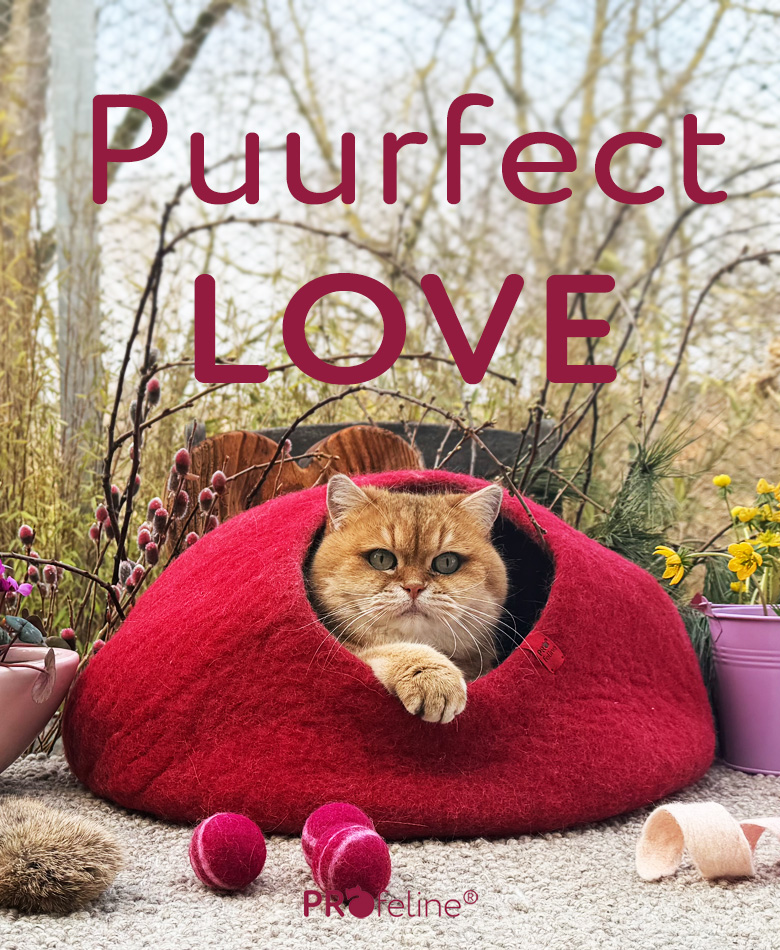 Katzenshop Filhöhle rot nachhaltig