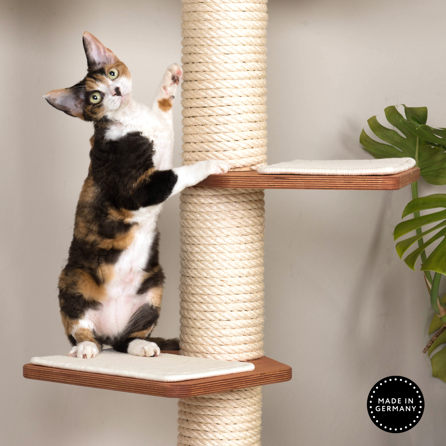 Treppensufen für Kratzbaum