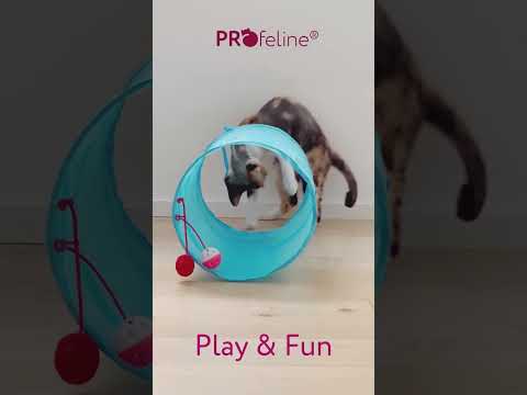 Cat Fun Tunnel Gelb