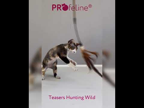 Profeline - Federwedel Hunting Wild