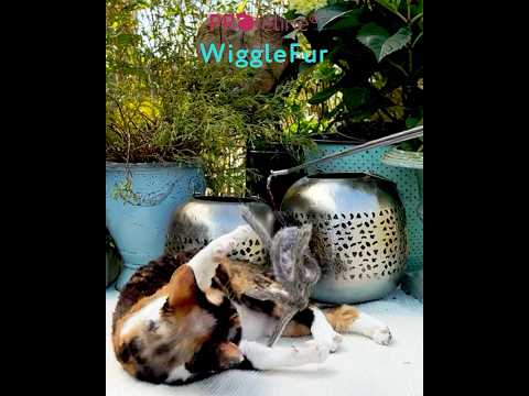 WiggleFur Anhänger