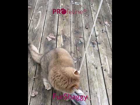 Profeline - FurShaggy Anhänger