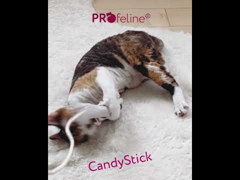 Profeline - Organic Cotton CandyStick Anhänger