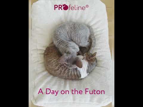 Katzenbett - Feline Futon