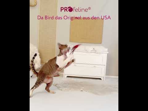 Go Cat - Da Bird Ersatzfeder