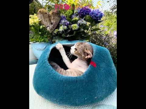 Katzen Filzhöhle Woolly Cave Blau