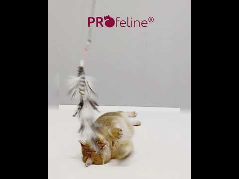 Profeline - Ostrich Anhänger