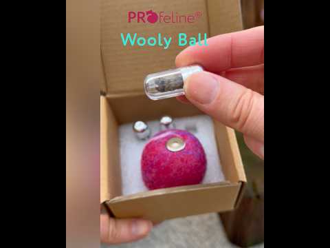 Wooly Ball - Katzen Filzball mit Duftfach