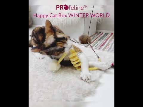 Happy Cat Box - WinterWorld Happy Cat Box - WinterWorld