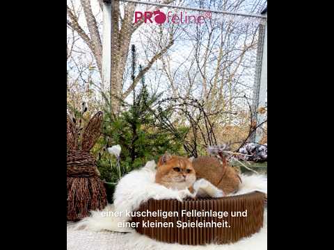 Katzenbett Accordeon